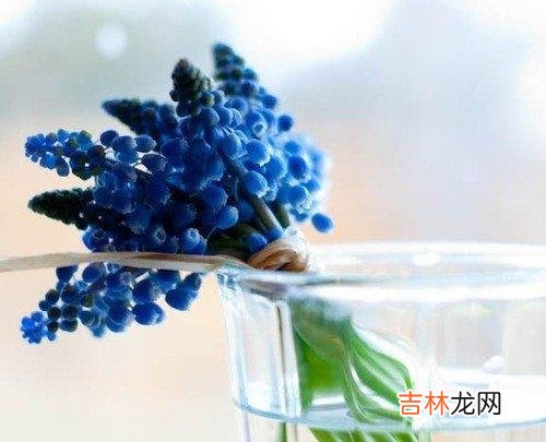越长大 越长大，  越知道，做事不容易，  越知道，每个人都有难处