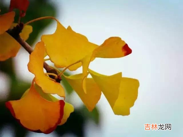 做人 做人，我凭借的就是良心。缺什么都可以，别缺德；说什么都可以