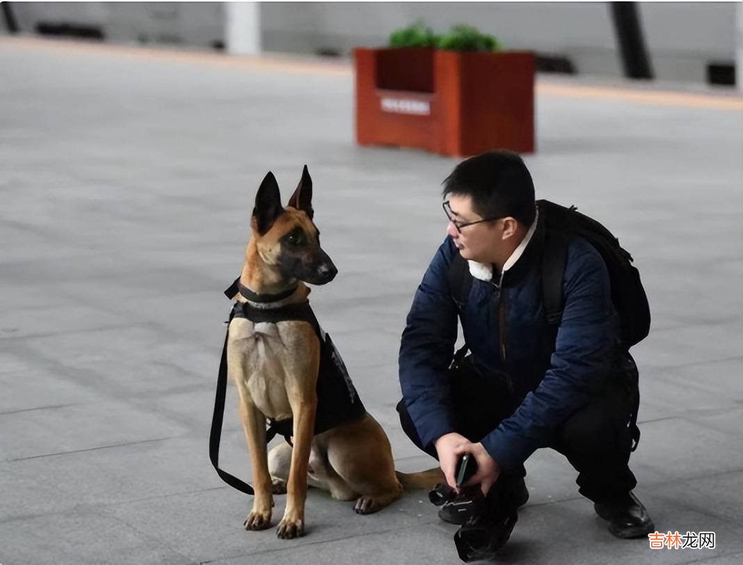 长期上班真会变丑吗？网友晒对比图，肉眼可见的沧桑，打工人哭了