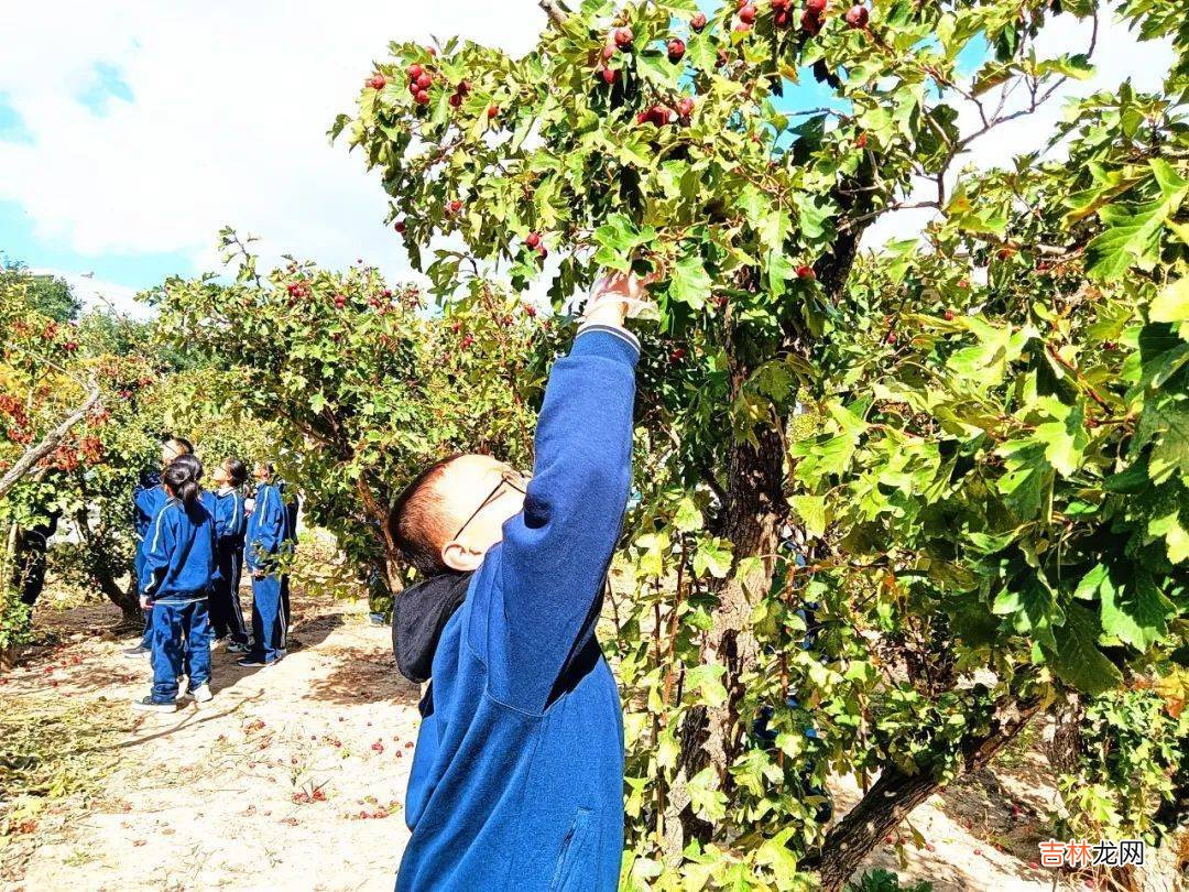 忻州实验中学邀您共赴“山楂树之恋”