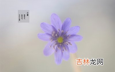 小暑热还是大暑热?2020年小暑出生的人好吗?