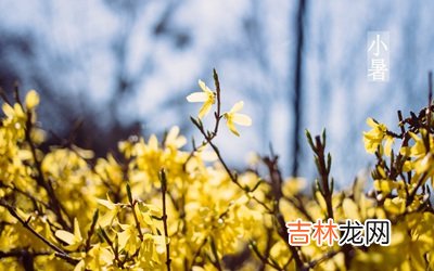 小暑节气适不适合同房？2020年小暑节气怀孕好吗？