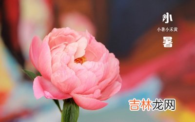 小暑节气适不适合同房？2020年小暑节气怀孕好吗？