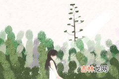 七两八钱什么意思 具体分男女