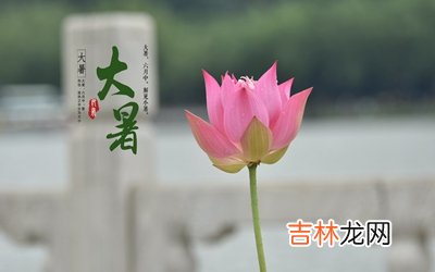 2020大暑搬家好吗？属兔人大暑节气当天出生的人命运好吗？