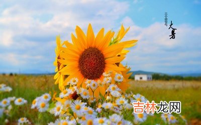 生肖属猪大暑节气出生的人命运怎么样？2020大暑卦象