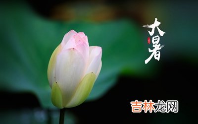 生肖属猪大暑节气出生的人命运怎么样？2020大暑卦象