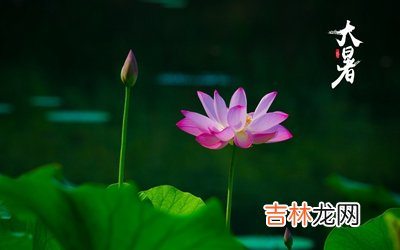 生肖属虎人大暑节气出生好不好？2020大暑喜神方位