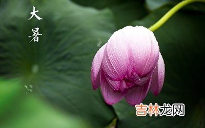 大暑是不是就是三伏天了?2020大暑出生的男孩好吗?