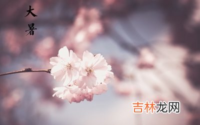 大暑是不是就是三伏天了?2020大暑出生的男孩好吗?