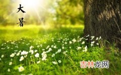 属狗人大暑节气出生好吗？2020年大暑前一天搬家可好？