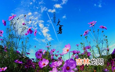 大暑是入伏第几天？2020鼠年大暑出生的女孩命如何？