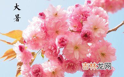 2020大暑适不适合订婚？出生在大暑节气的属龙人命运如何？