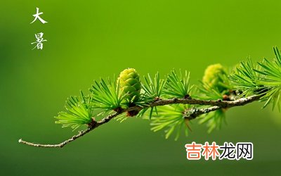 2020大暑适不适合订婚？出生在大暑节气的属龙人命运如何？