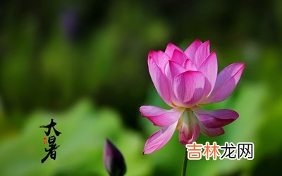 2020鼠年大暑节气辰时出生宝宝五行喜用神解析