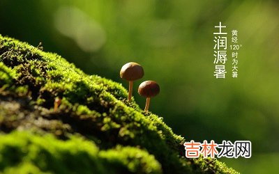 2020年大暑节气寅时生人五行缺什么，是什么命？