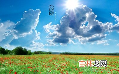 2020年大暑节气寅时生人五行缺什么，是什么命？