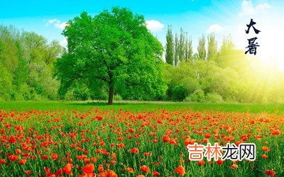 2020年大暑节气卯时出生的宝宝命好不好，五行分析