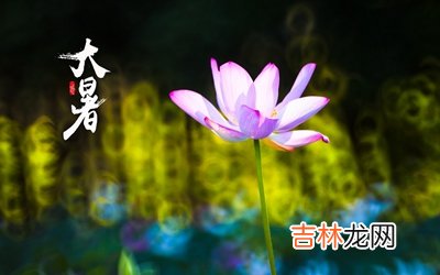 2020年大暑节气子时出生宝宝喜用神是什么命如何？