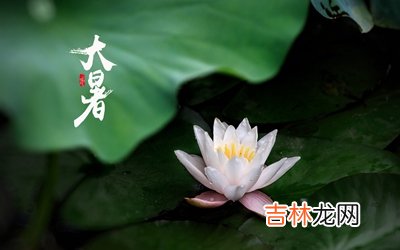 2020年大暑出生的人好吗？大暑节气有什么禁忌？