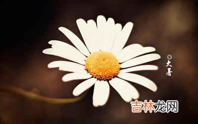 2020年7月22日大暑节气未时出生的宝宝喜用神是什么？