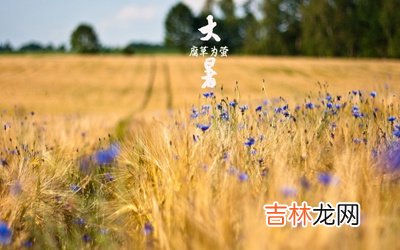 2020年7月22日大暑节气巳时出生喜用神是什么？