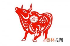 2021辛丑年农历二月十三出生的宝宝命运怎么样？