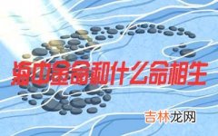 海中金命和什么命相生