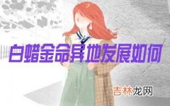 白蜡金命的人在异地发展怎么样