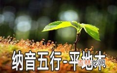 八字纳音五行：平地木命详解