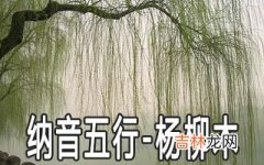 八字纳音五行：杨柳木命详解