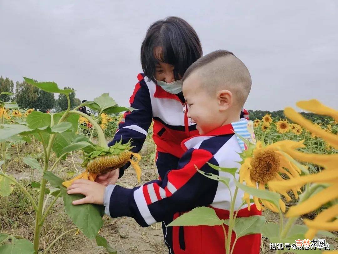 赏花、秋游、野餐，佳煦智能幼稚园这个秋天，与向日葵有约！