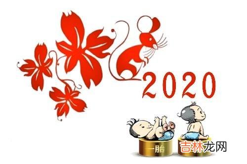 2020年出生的人是什么命