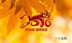 2016年出生的孩子是什么命