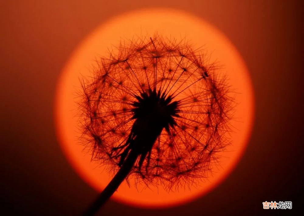 当人们想离婚时，实际想离开的是什么？