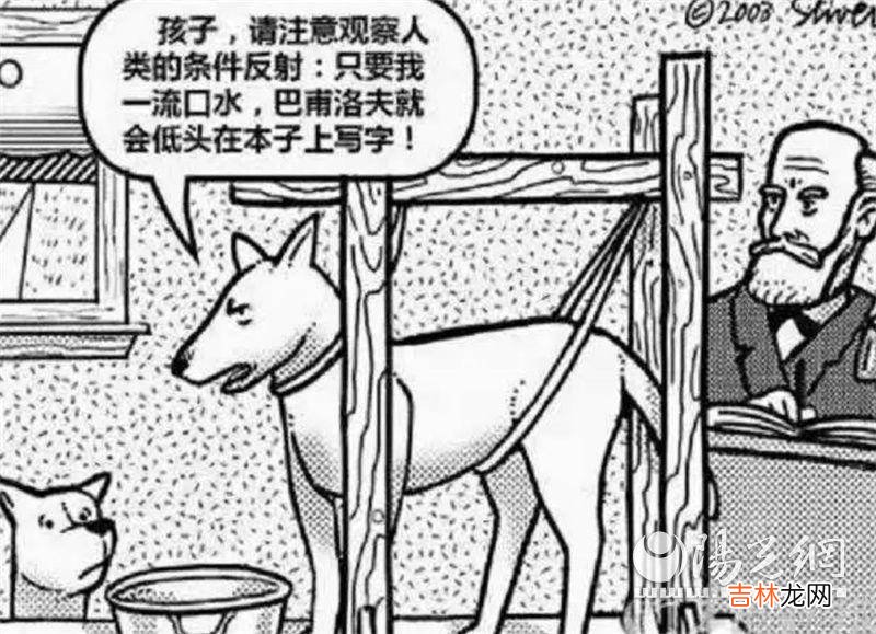 西安市浐灞第十七小学：快乐童心 向阳而生