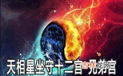 天相星坐守十二宫：兄弟宫详解