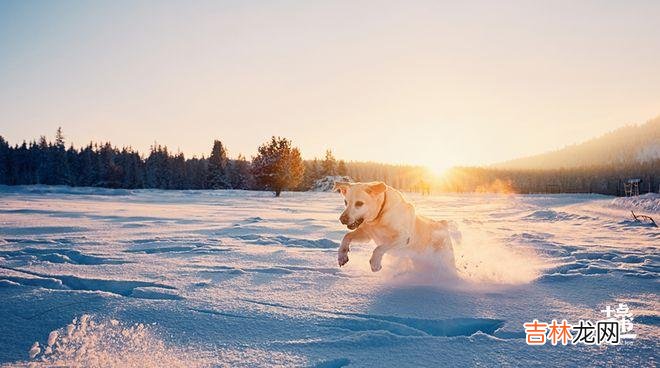 总是看孩子不顺眼,是一种病