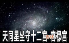 天同星坐守十二宫：官禄宫详解