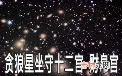 贪狼星坐守十二宫：财帛宫详解