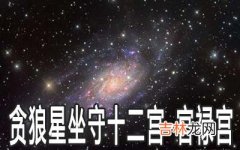 贪狼星坐守十二宫：官禄宫详解