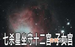 七杀星坐守十二宫：子女宫详解