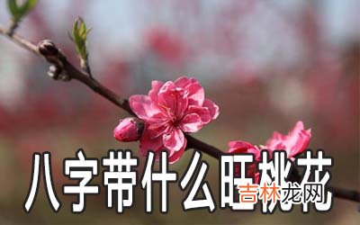 男人八字带什么桃花运会旺