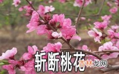 斩断桃花的方法是什么