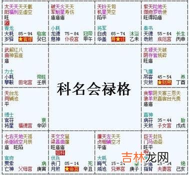 紫微斗数富贵格局:科名会禄格详解