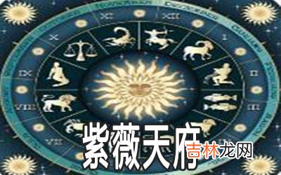 紫微命盤分析：天府詳解