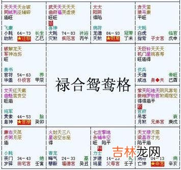 紫微斗数富贵格局：禄合鸳鸯格详解