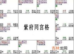 紫微斗数富贵格局：紫府同宫格详解