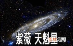 紫微甲级星曜：天魁星详解