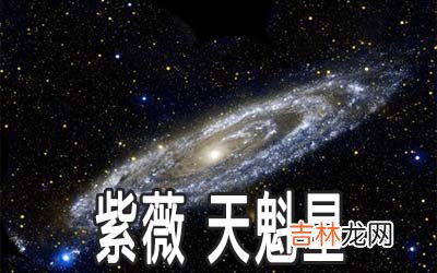 紫微甲级星曜：天魁星详解